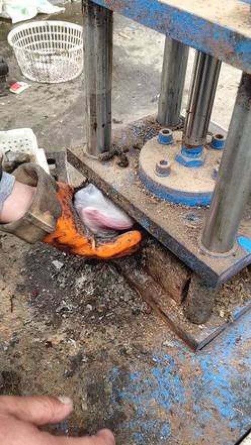 木炭加工原理揭秘 从木材到燃料的质变之旅