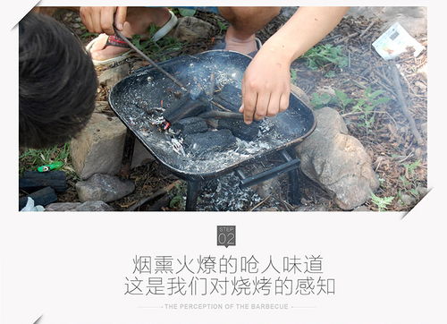 烧烤炭选购全攻略 从果木炭到环保炭，打造完美野营烧烤体验