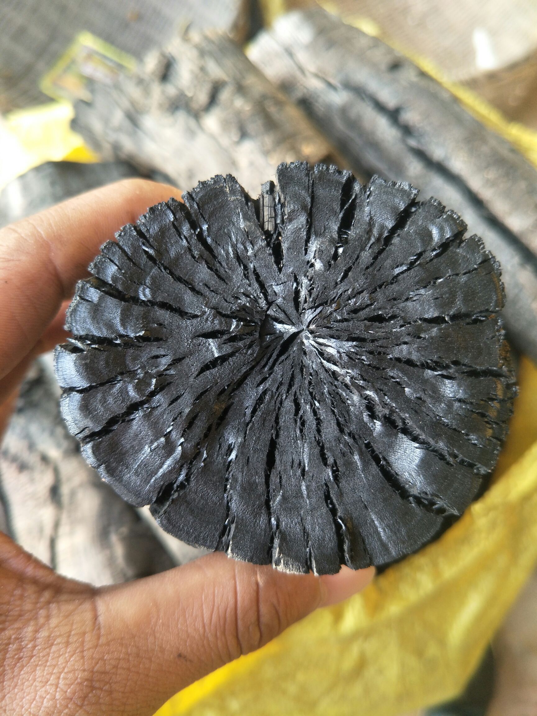 木炭批发市场深度解析 荔枝碳、火碳柴碳与原木碳的价格趋势